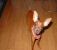 Cachorro 5.jpg